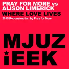 Where Love Lives (Pray for More's 2015 Vocal Reconstruction) [Pray for More vs. Alison Limerick] Song Lyrics