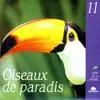 Birds of Paradise (Oiseaux de paradis) album lyrics, reviews, download