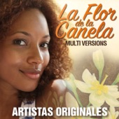 La Flor de la Canela (Multi Versions) artwork