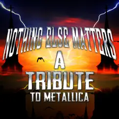 Nothing Else Matters (A Tribute to Metallica) by Various Artists album reviews, ratings, credits