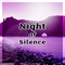 Night of Silence artwork