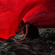Brave Shine - Aimer