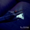 Halloween at High Noon: Way of the Wicked