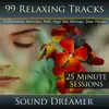 99 Relaxing Tracks album lyrics, reviews, download