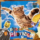 #Uplifting (DJ Mix) artwork