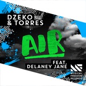 Air (feat. Delaney Jane) artwork