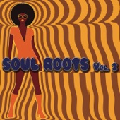 Soul Roots, Vol. 2 artwork