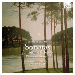 BRAHMS/CLARINET SONATAS cover art