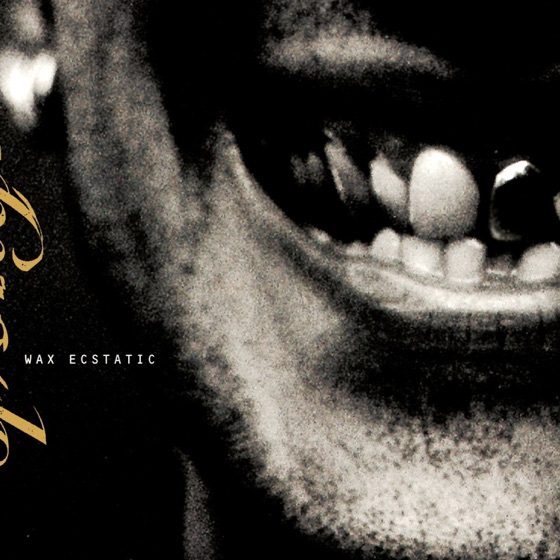 Cover artwork for Velveteen