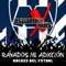 Rayados Mi Adiccion artwork