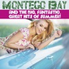 Montego Bay and the Big, Fantastic, Great Hits of Summer!, 2015