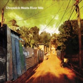 Chopstick Meets River Nile artwork