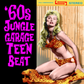 60s Jungle Garage Teen Beat - Various Artists
