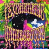 Psychedelic Underground, 2013