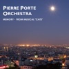 Pierre Porte Orchestra - Memory - From Musical "Cats"