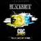 CDC Remix (feat. S-Pi, R.E.D.K, Ol Kainry & Amy) - Black Brut lyrics