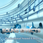 Professional Sound Effects, Vol. 10 - Professional Sound Effects Group