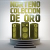 Norteño Colección de Oro, 2014