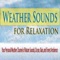 Deep Forest (Weather Channel Sounds) - Robbins Island Music Group lyrics