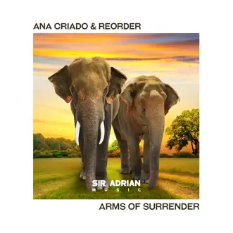 Arms of Surrender by Ana Criado & ReOrder song reviws