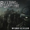 Divided We Stand - EP