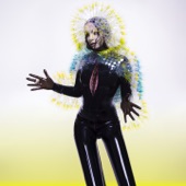 Vulnicura artwork