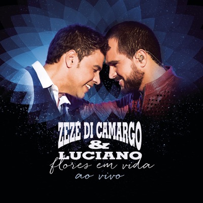 Hoje Eu Quero Te Amar - Zezé Di Camargo & Luciano