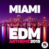 Miami Edm Anthems 2015