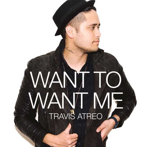 Cover artwork for Want to Want Me