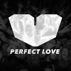 Perfect Love - Single by Jesus Loves Electro album reviews, ratings, credits