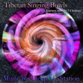 Rainforest Sounds With Tibetan Singing Bowls artwork