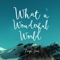 What a Wonderful World - Tiago Iorc lyrics