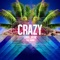 Crazy (feat. Maino) [Chris Cox Club] - Erika Jayne lyrics