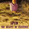 The Beauty of Existence album lyrics, reviews, download