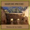Amor Herido - Palomas del Sur lyrics
