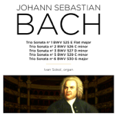 Bach: Trio Sonata, BWV 525 - 530 - Ivan Sokol