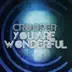 You Are Wonderful - Single album cover