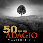 Flute Concerto No. 2 in D Major, K. 314: II. Adagio Ma Non Troppo artwork