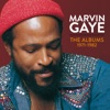 Marvin Gaye: The Albums 1971-1982 ジャケット写真
