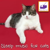 Sleep Music for Cats artwork