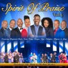 Spirit of Praise, Vol. 5