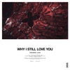 Why I Still Love You - Single