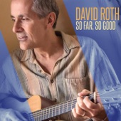 David Roth - Necessary, True, And Kind