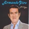 Pregon De Las Flores - Armando Pico lyrics