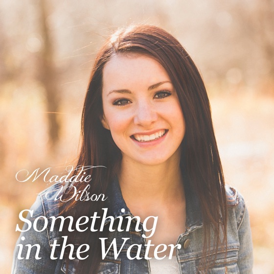 Cover artwork for Something in the Water