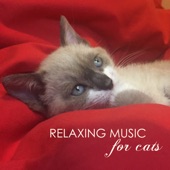 Relaxing Music for Cats - Soothing Classical Songs and Ambient Nature Sounds for Pet Therapy artwork