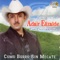 Como Burro Sin Mecate - Adair Elizalde lyrics