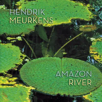 Amazon River - Hendrik Meurkens