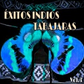 Éxitos Indios Tabajaras, Vol. 3 artwork