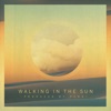 Walking in the Sun - Single